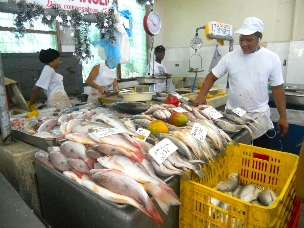 ETIQUETADO VERAZ DE PRODUCTOS DEL MAR